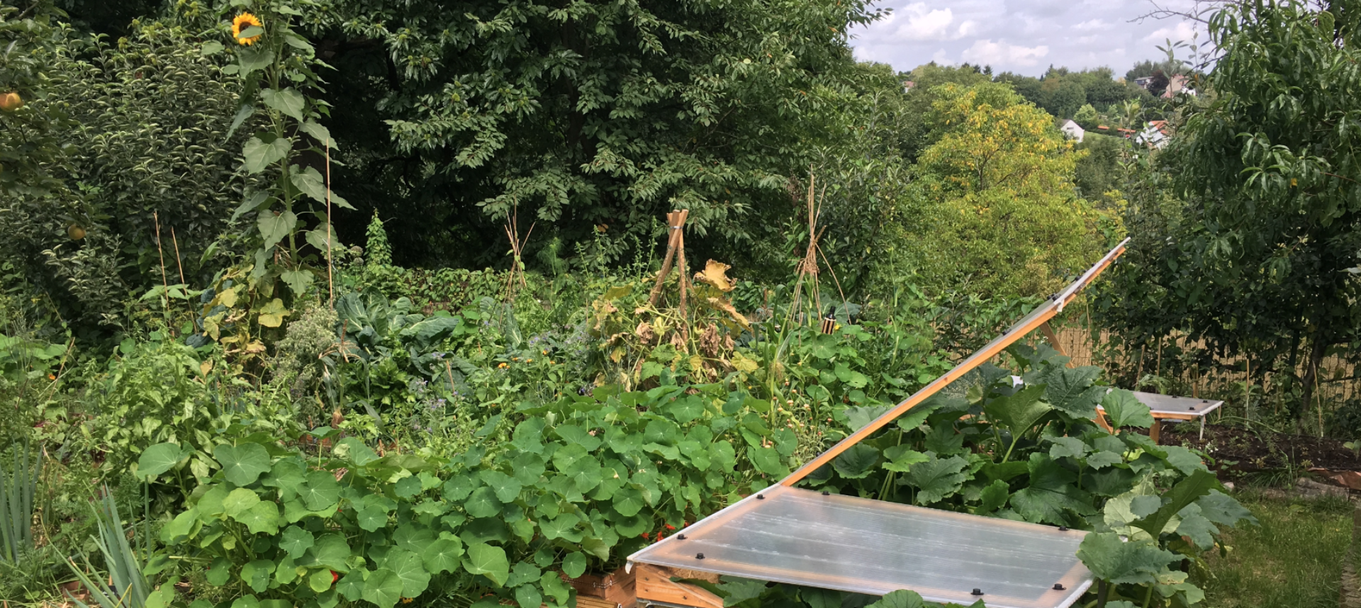 Le jardin de Florian et Géry