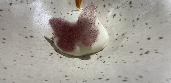 Un papillon sorti du bois d'à-coté